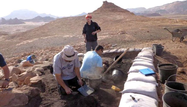 שרידי הצבע היוקרתי ארגמן מתקופת  התנ''ך נמצאו בחפירות תמנע