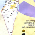 שפוי זמני