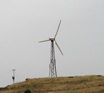 חשש: חוות הרוח של קצא''א מסוכנת לסביבה
