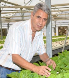 רפי הוכמן ומצב החסה בשטחים