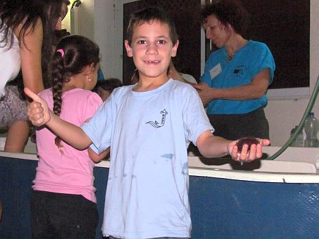 ליל המדענים: מאות אילתים סייעו לשבור את שיא גינס