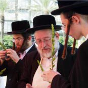 ארבעת המופלאים של סוכות