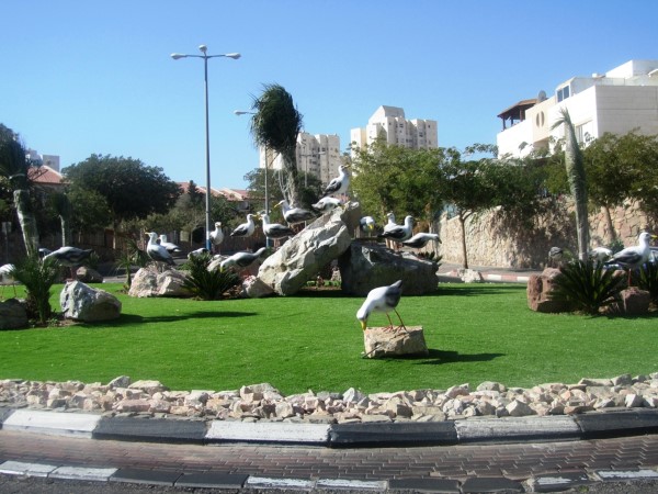 'כיכר השחפים' ו'כיכר הדגים'