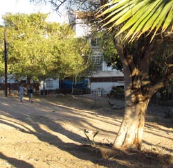 הוסרו הגדרות ברחוב ששת הימים