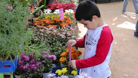 וידיאו ותמונות: מאות השתתפו בחגיגת ט''ו בשבט