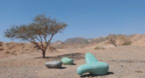 נופים ואוהבים