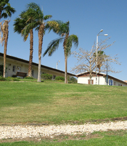 כך ויתרה העירייה על גבעה 106
