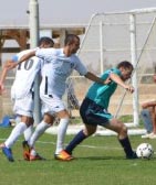 הביזיון והחגיגות