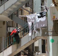 מסתמן: אין 'פינוי בינוי ' ב'סינג סינג'
