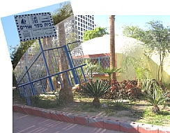 תסיסה בקרב הורים בחינוך המיוחד