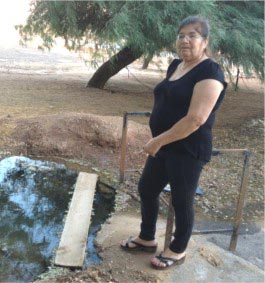 מראה מביש בכניסה לבית העלמין הצבאי