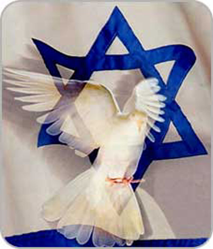 שפוי זמני