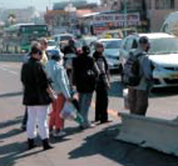 תחנת הרכבת של אילת תמוקם בשדרות התמרים
