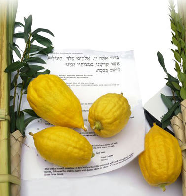 ארבעת המופלאים