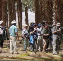 היממה הגדולה