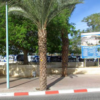 נהרס דוכן נרגילות בפארק המרכזי