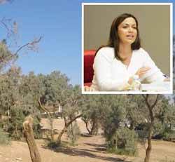 לימור להב: מדוע בונים פרויקט לעשירים? 