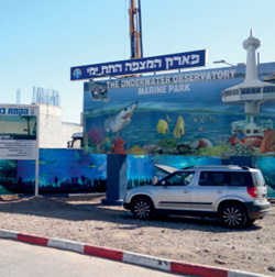 בריכת כרישים? לא כל כך מהר
