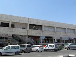צעירה הותקפה ללא סיבה בשדרות התמרים