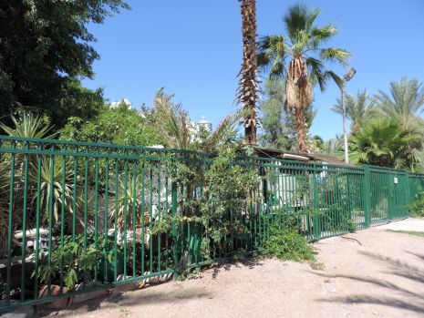 הסכם ב'חוף השחפים': תוכשר תחנת המצילים הבלתי חוקית