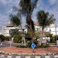 כיצד נוהגים בכיכר?