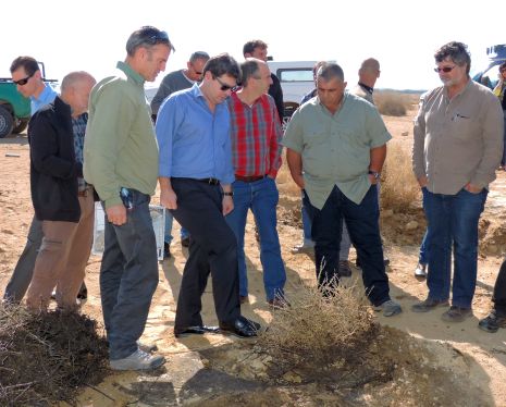 בעלי החיים שבו לשמורת עברונה