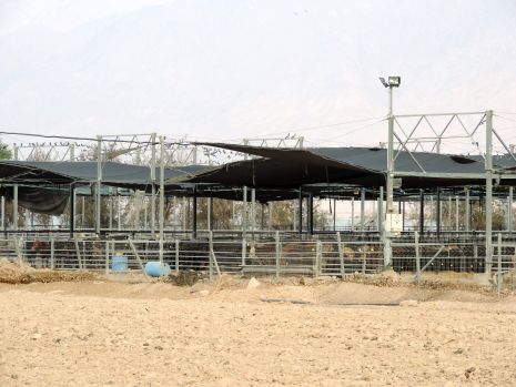 בגלל שדה התעופה החדש: תחנת ההסגר לבקר נשארת באילת