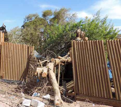 דני שועה יפוצה במיליון שקלים ודורש יותר; העירייה: ''סחיטת הקופה הציבורית''