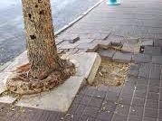 בגלל מדרכה שבורה: פיצוי לתושבת העיר