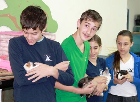 חיים את בעלי החיים