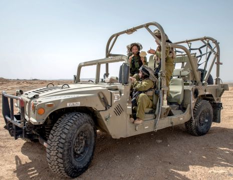 פסח מתוח: פעילות נרחבת בגבול ירדן