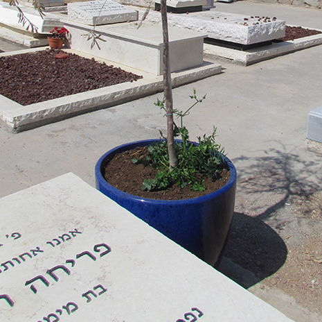 איפה ישנם עוד אנשים