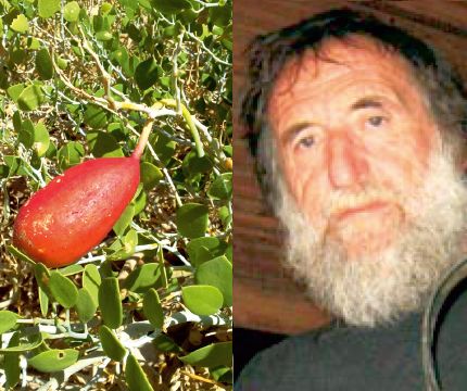 הציל ערכי טבע מוגנים