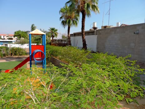 ''גן המשחקים ננטש בגלל הדבורים''