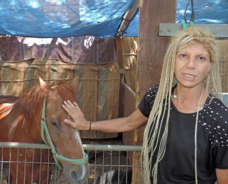 מתחם המזרקה: העירייה דורשת לפנות את חוות החיות