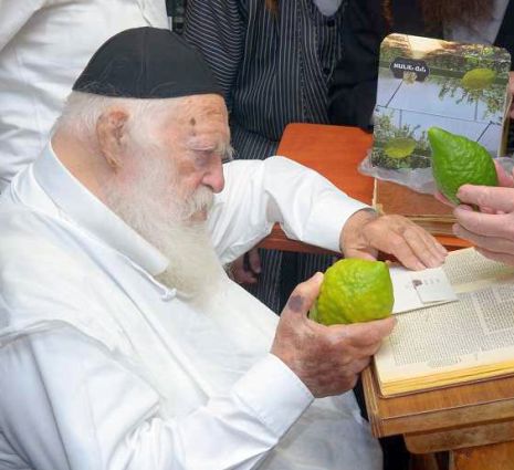 אילת זה חו''ל 