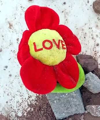 פרח של אהבה