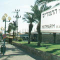 מי יציל את שדרות התמרים...?