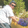 כי האדם עץ השדה