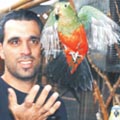 קן התוכיה