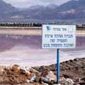 אולמרט ודנקנר לנצח