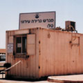 שפוי זמני