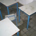 מתקפת כינים בבית הספר 'גולדווטר' 