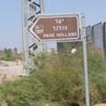 איזה יער ואיזה הולנד 
