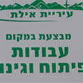שפוי זמני