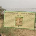 קודחים בשמורת טבע