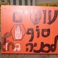 הירוקים פשטו עם שחר - מחאה אקטיבית, פשיטה על חוף ה'רויאל ביץ'