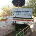 מקלט או מטרד?