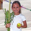 המרוץ לסוכה