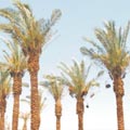 הכינו את הארנקים - מחירי המים עולים!